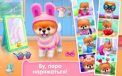 Бу - Самая милая собачка! screenshot №2