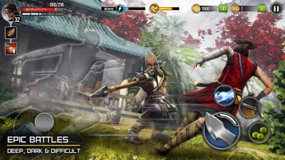 Ninja Ryuko: Shadow Ninja Game screenshot №5
