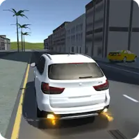 X5 M40 and A5 Simulator v 3.5