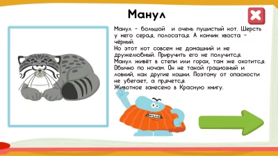 Развивающие детские игры. Бодо взлом screen 4